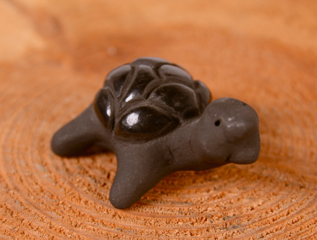 Santa Clara Pueblo Turtle Pottery
