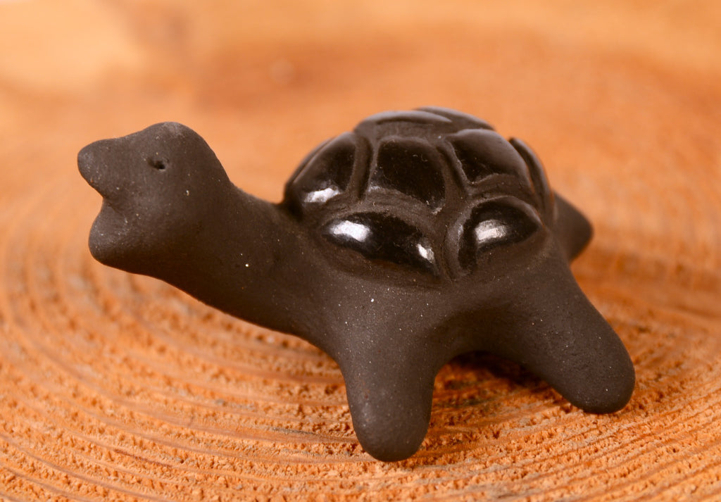 Santa Clara Pueblo Turtle Pottery