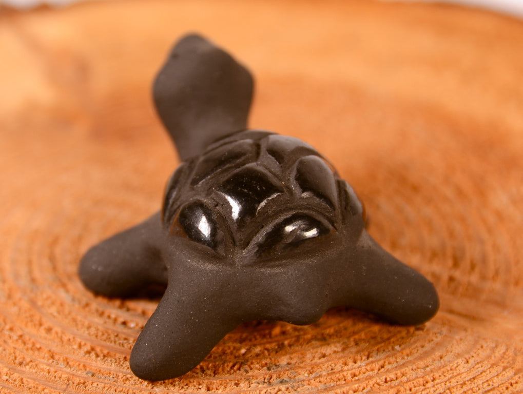 Santa Clara Pueblo Turtle Pottery