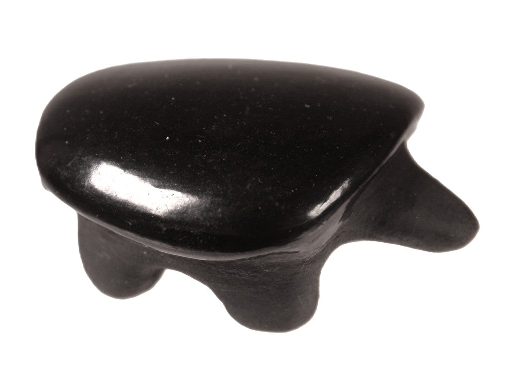 Santa Clara Pueblo Pottery Turtle By Phyllis Tafoya