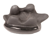 Santa Clara Pueblo Pottery Turtle By Phyllis Tafoya