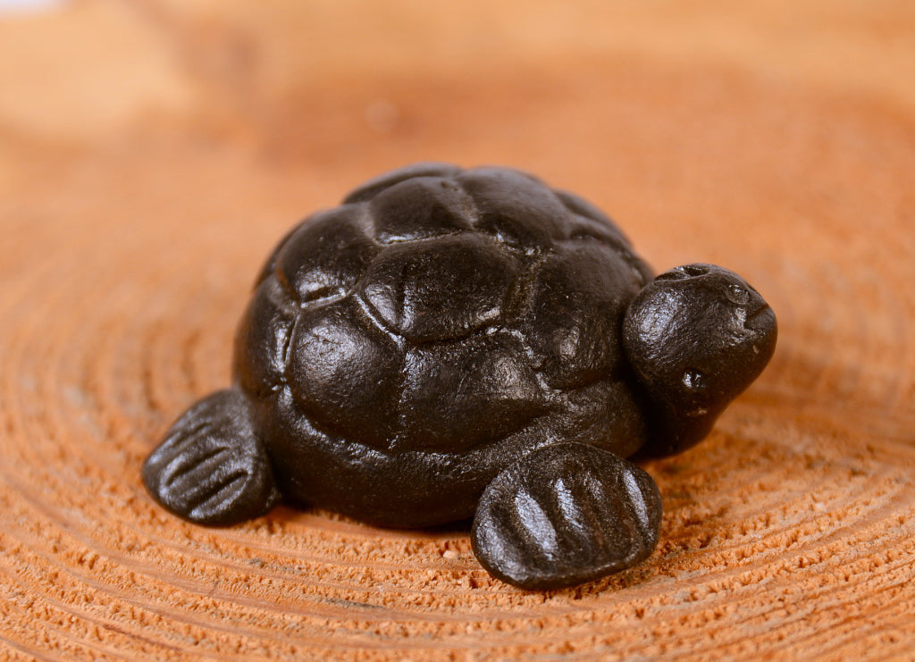 Santa Clara Pueblo Turtle Pottery