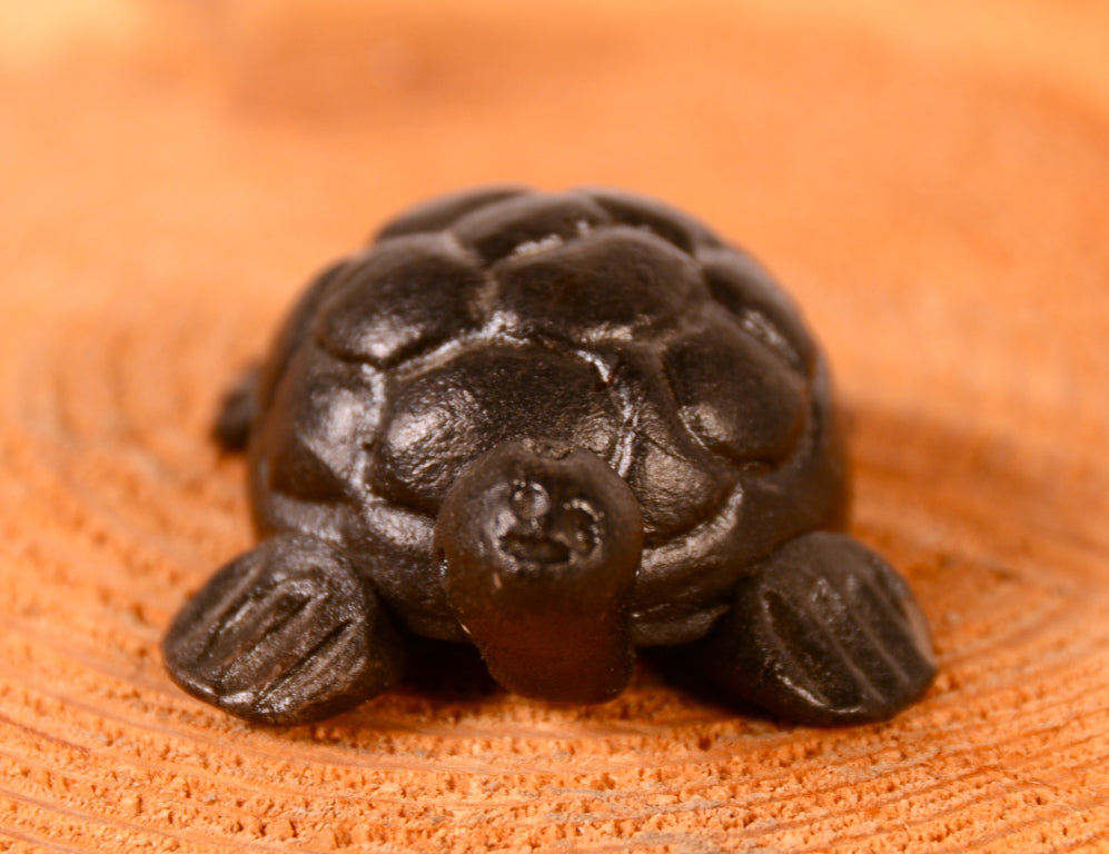 Santa Clara Pueblo Turtle Pottery