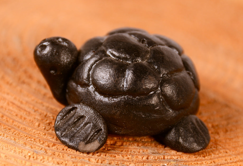 Santa Clara Pueblo Turtle Pottery