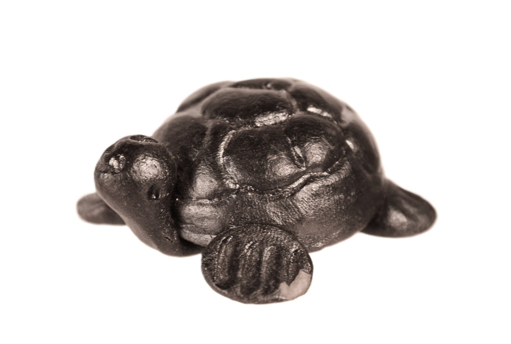 Santa Clara Pueblo Turtle Pottery