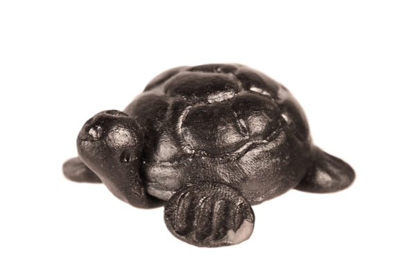 Santa Clara Pueblo Turtle Pottery