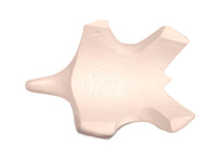 Acoma Pueblo Ceramic Turtle By C.G.