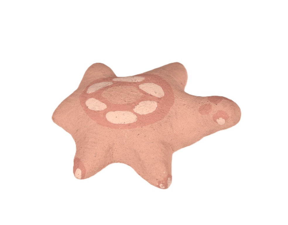 Santa Clara Pueblo Ceramic Turtle By Mary