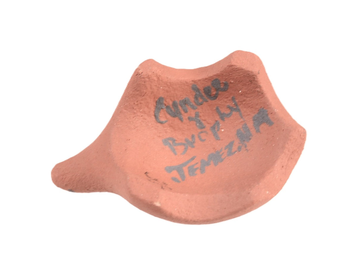 Pueblo and Mixed Pottery Group - Turtles Pottery Set of 6 - Judy Shields -