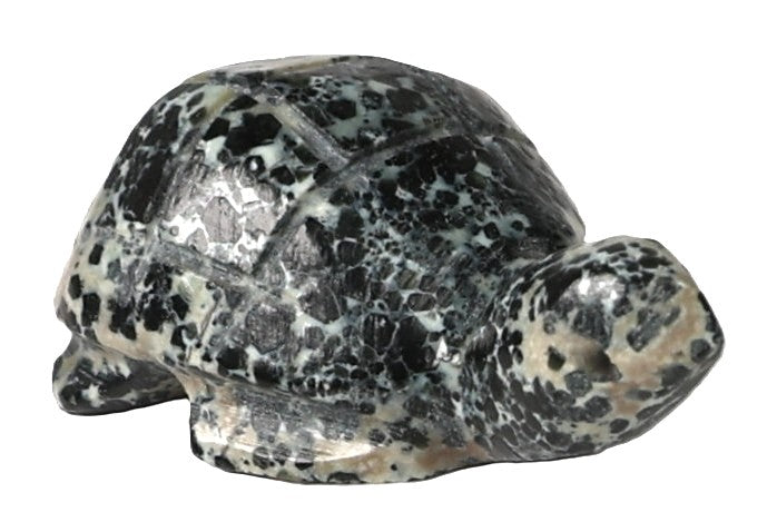 Zuni Pueblo Turtle Fetish