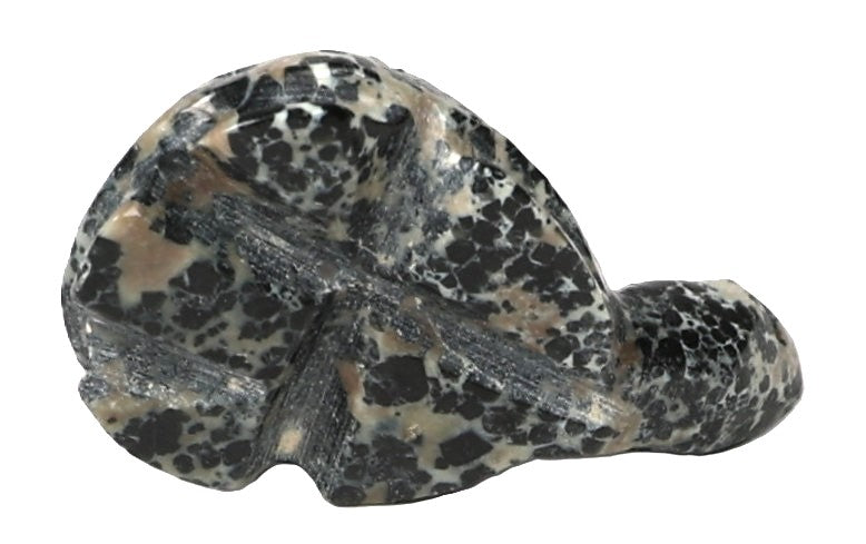 Zuni Pueblo Turtle Fetish