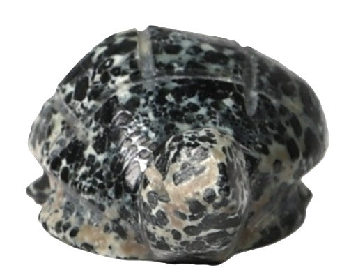 Zuni Pueblo Turtle Fetish