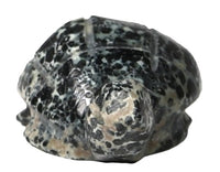 Zuni Pueblo Turtle Fetish