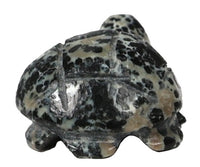 Zuni Pueblo Turtle Fetish