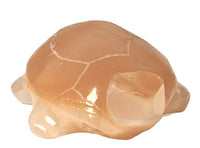 Zuni Pueblo Turtle Fetish