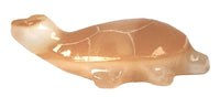 Zuni Pueblo Turtle Fetish