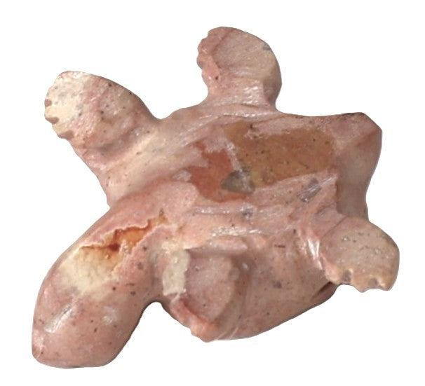 Zuni Pueblo Turtle Fetish
