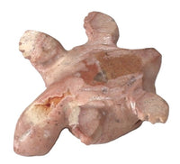 Zuni Pueblo Turtle Fetish