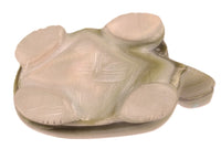 Zuni Pueblo Green Turtle Fetish