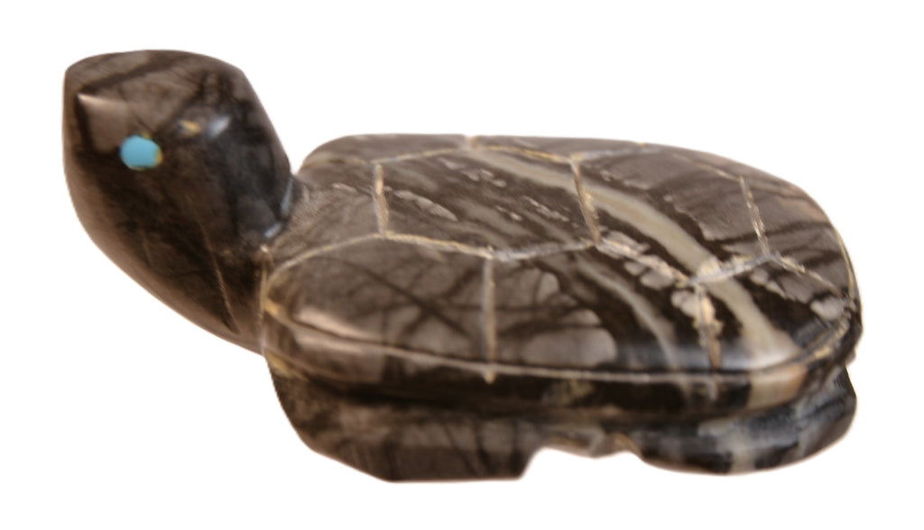 Zuni Pueblo Black Turtle