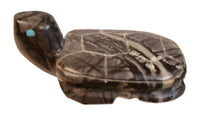 Zuni Pueblo Black Turtle