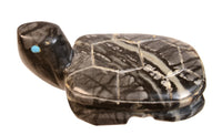 Zuni Pueblo Black Turtle
