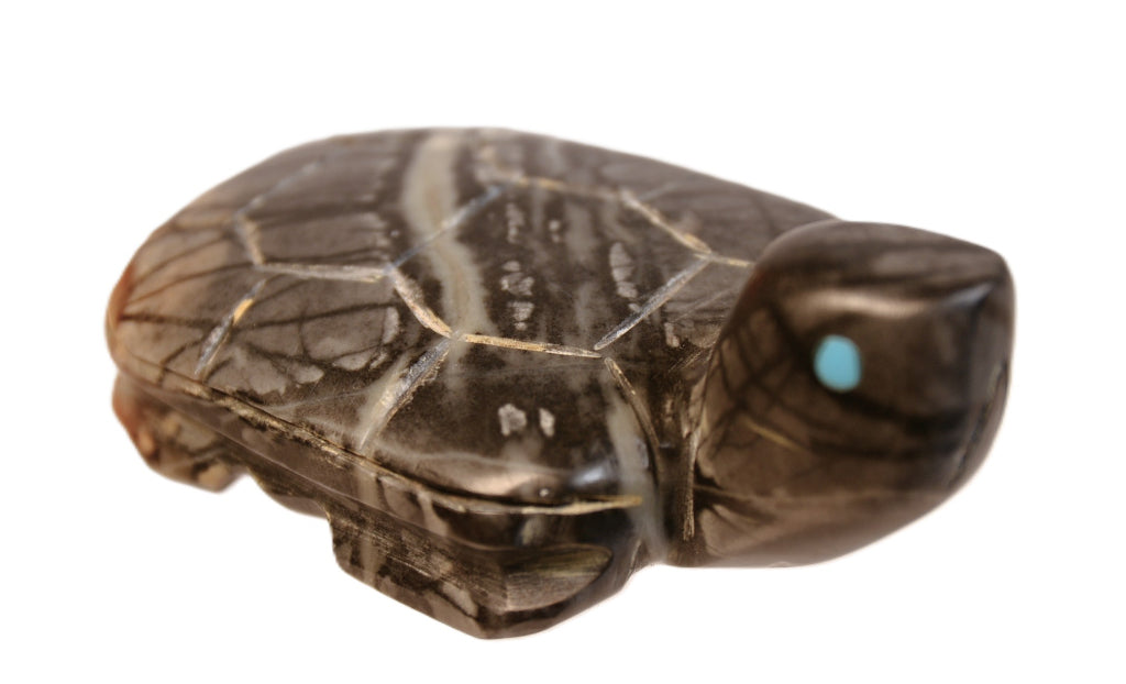 Zuni Pueblo Black Turtle