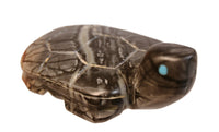 Zuni Pueblo Black Turtle