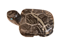 Zuni Pueblo Black Turtle
