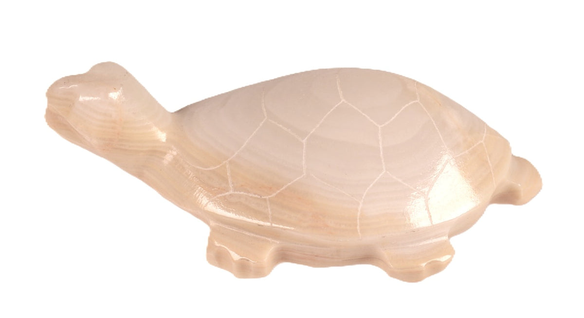 Zuni Pueblo Turtle Fetish