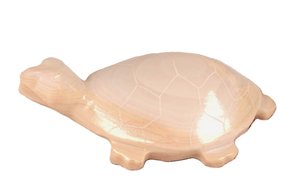 Zuni Pueblo Turtle Fetish