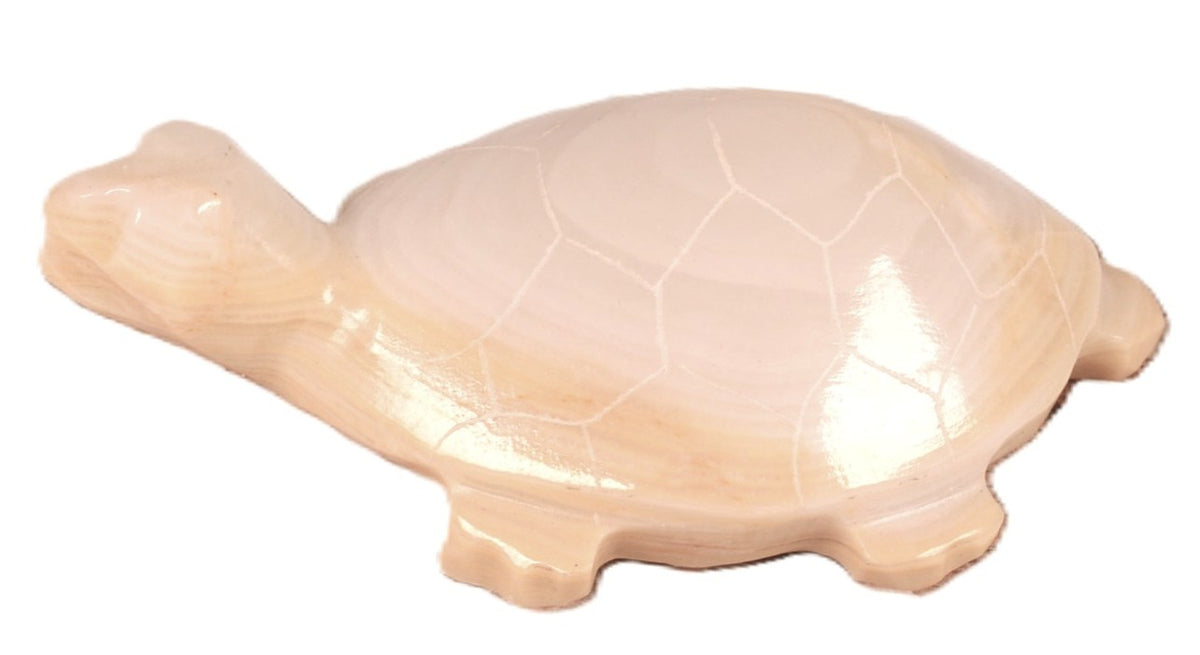 Zuni Pueblo Turtle Fetish