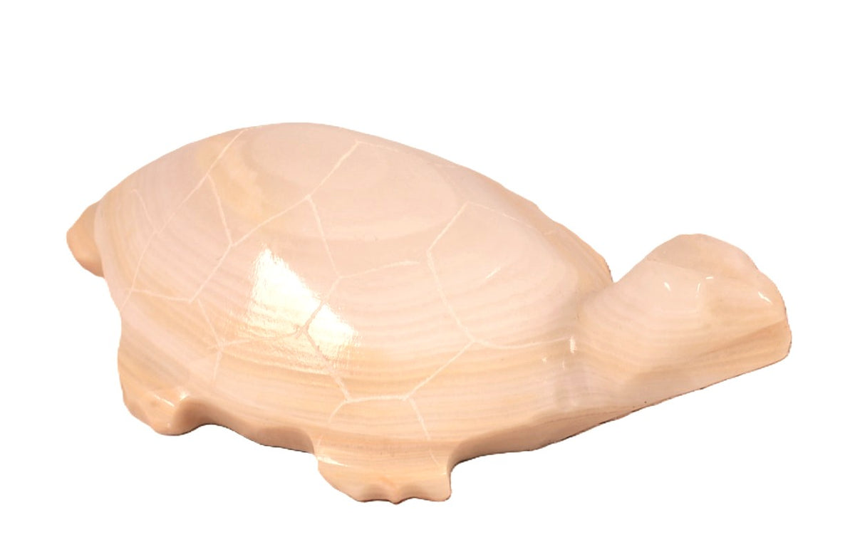 Zuni Pueblo Turtle Fetish