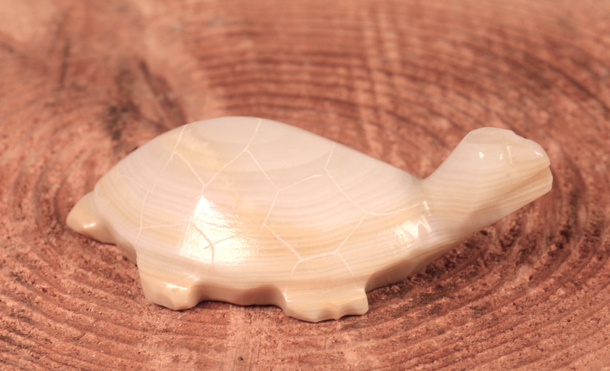 Zuni Pueblo Turtle Fetish