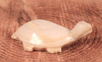 Zuni Pueblo Turtle Fetish