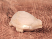 Zuni Pueblo Turtle Fetish