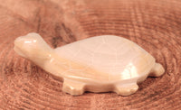 Zuni Pueblo Turtle Fetish