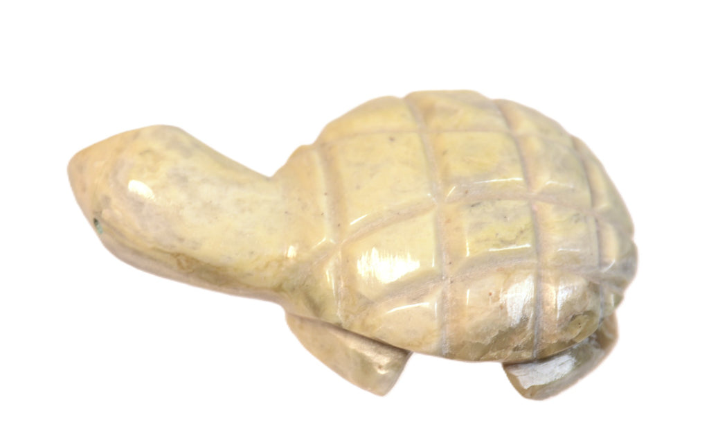 Zuni Pueblo Turtle Fetish