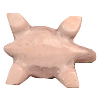 Zuni Pueblo Turtle Fetish