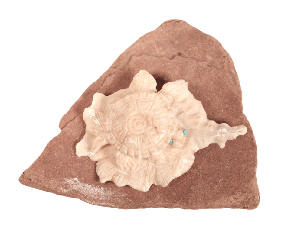 Zuni Pueblo Turtle Fetish By Max Laate