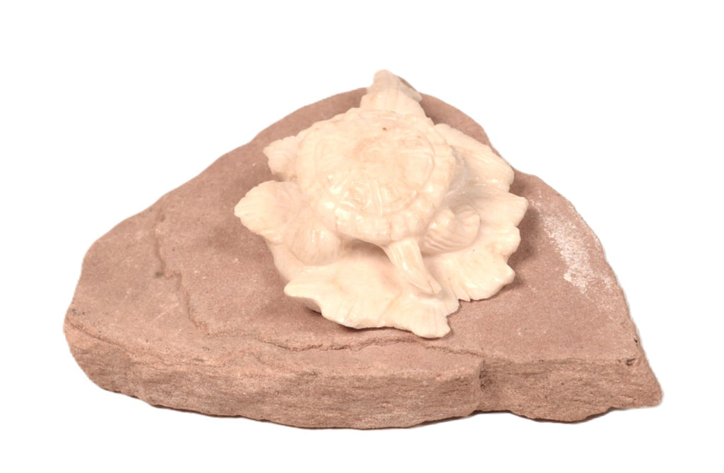 Zuni Pueblo Turtle Fetish By Max Laate