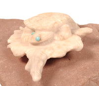 Zuni Pueblo Turtle Fetish By Max Laate