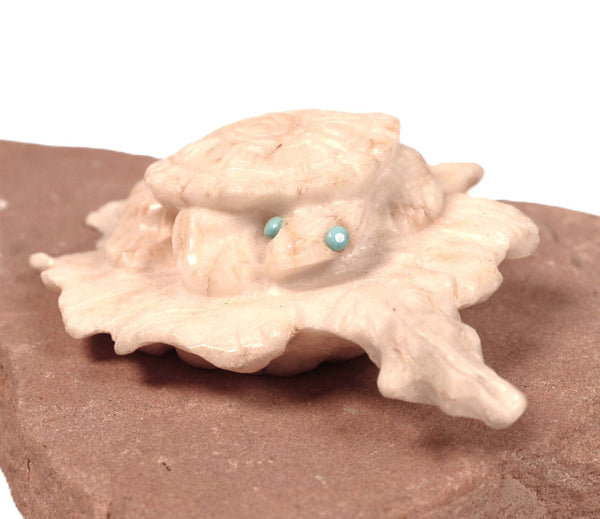 Zuni Pueblo Turtle Fetish By Max Laate