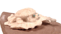 Zuni Pueblo Turtle Fetish By Max Laate