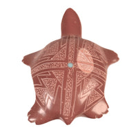 Zuni Pueblo Turtle Fetish By Kent Panteah