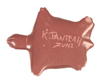 Zuni Pueblo Turtle Fetish By Kent Panteah