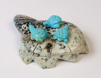 Zuni Stone Turtle Fetish: 3 baby Turquoise Turtles on a Turtle