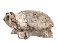 Zuni Pueblo Turtle Fetish