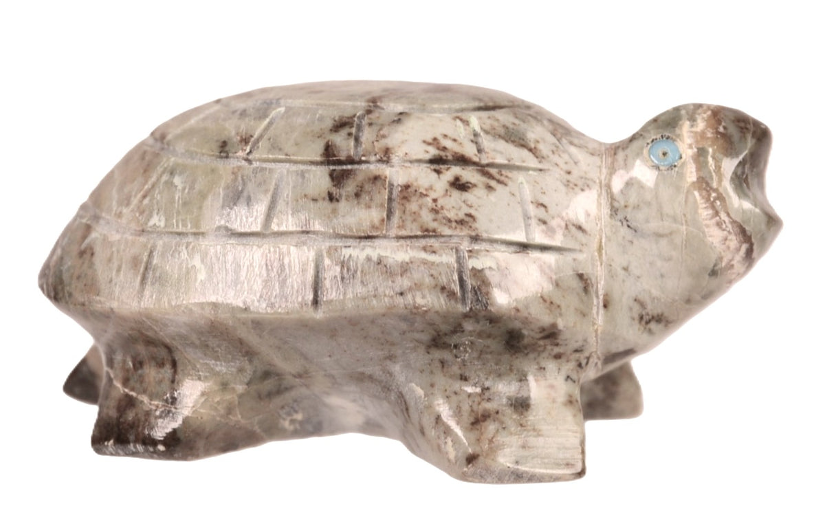Zuni Pueblo Turtle Fetish