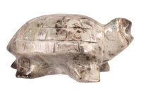 Zuni Pueblo Turtle Fetish